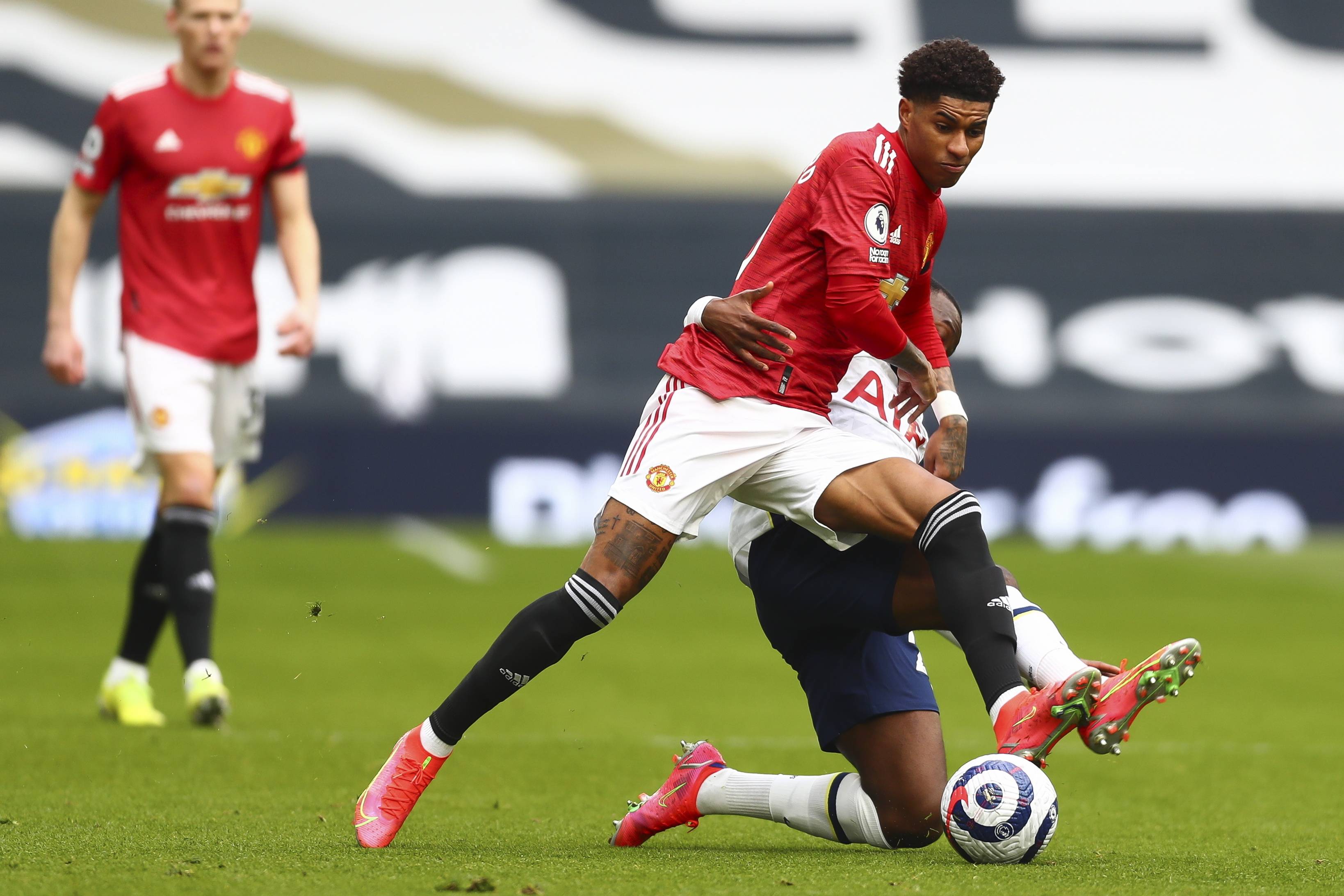 察力和精湛 察力和精湛